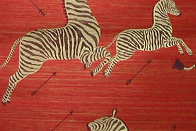 Guest Picks: Zebra Wallpapers   An Ideabook By Beth Connolly Interiors