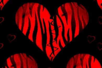 Pink And Black Zebra Wallpapers   Wallpapers Zone