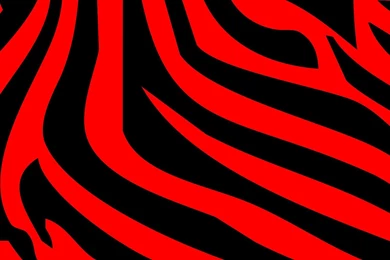 Red Zebra Wallpapers   Desktop Backgrounds