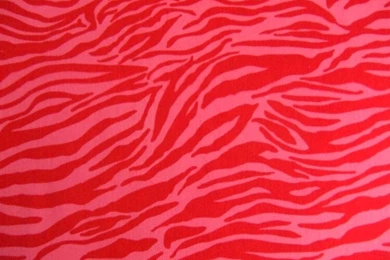 Red Zebra — Crafthubs