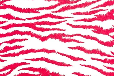 Printed Wallpapers 2015   Grasscloth Wallpapers