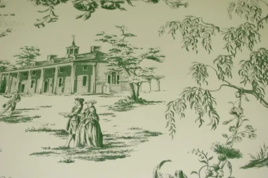 HINSON AND CO. 'GREEN TOILE' WALLPAPER   TRIPLE ROLLS ...