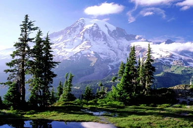 Nature: Majestic Mountain Forest, Picture Nr. 56054