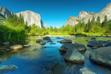 Forest, Cliff, Beautiful, River, El Capitan, Summer, National Park ...