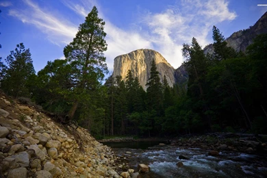 Mountain Forest Stream, Rock, Sky, Cloud, Tree, Nature, 2560x1600 ...