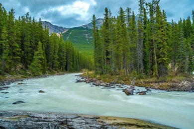 Mountain Forest River Trees Landscape Wallpapers