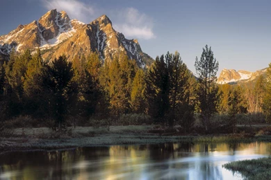 Download Mountains Forest Wallpapers 1920x1080