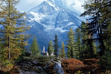 Fonds D'écran Four   Page 2