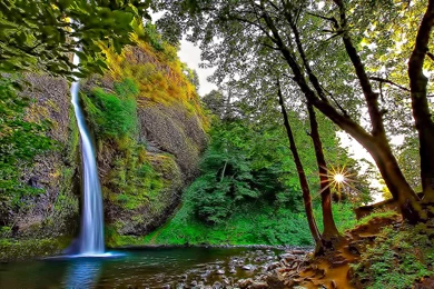 Wallpapers Mountain Stream 1920x1200