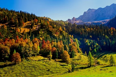 Nature Mountain Forest Landscape Fog Lake Ultrahd 4k Wallpapers ...