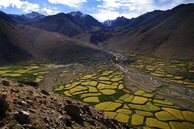 Nature Mountain Forest Landscape Fog Lake Ultrahd 4k Wallpapers ...