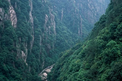 1080x1920 Nature Mountain Forest Sony Xperia Wallpapers HD Mobile