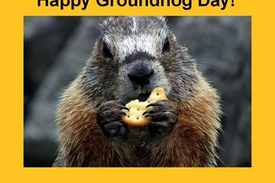 Groundhog Day Wallpapers HD Download