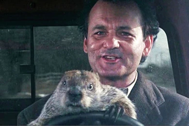 Groundhog Day   Movie Wallpapers
