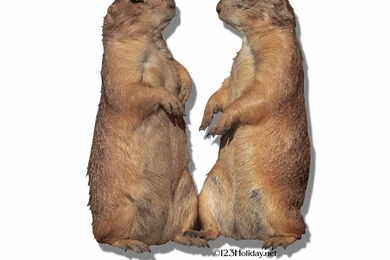 Groundhog Day   Groundhogs Day Holiday Website