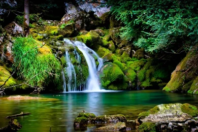 Wallpapers Forest Waterfall France Vercors Moss Natural Hd ...