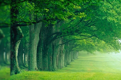 Wallpapers Bercelona Football Team Pictures Gallery 1920x1080 ...