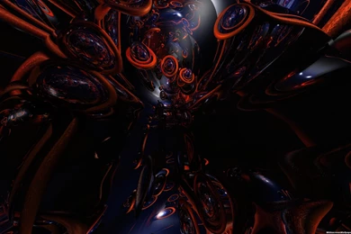 Orange Image Wallpapers