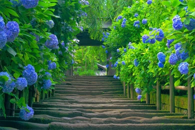 Natural Images HD Wallpaper Backgrounds Of Your Choice