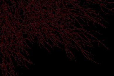 Dark Wallpapers   Wallpapers Cave