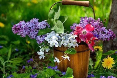 SPRING FLOWERS WALLPAPER   (