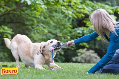 Skydiving Railroad And Screensaver Wallpapers HD, HQ Backgrounds ...