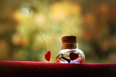 Free Download Images Of Love   Desktop Backgrounds