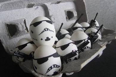 Egg Terrorist 1920x1408 Free Android Wallpapers