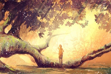 Fisihng In The Sunlit Forest River 1920X1200 Digital Art Wallpapers ...