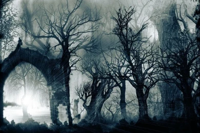 Let's Play: Icewind Dale 2 [70]   Deeper Into The Fell Wood   YouTube