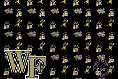 Wake Forest   Blanket Photo By HelluvaLayouts