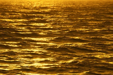 40 HD Gold Wallpaper Backgrounds For Free Desktop Download