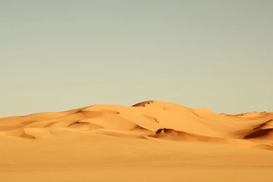 Desert Wallpapers