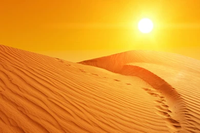 Desert_Background.jpg?m=1444134376