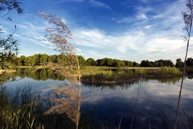 InterfaceLIFT Wallpaper: Dream Beach