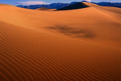 Free Printable Christmas Borders Clip Art