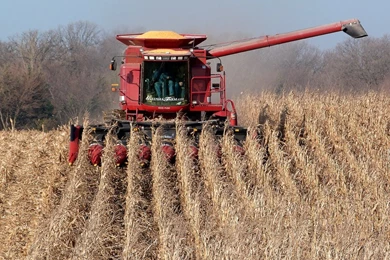 Galusha Farm   Case IH 2388 Combine