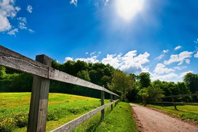 Sunny Day Backgrounds   Wallpapers Cave