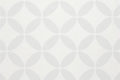 Light Grey Evolve Wallpapers