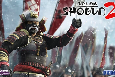 Wallpapers Samurai Free Shogun 2560x1600