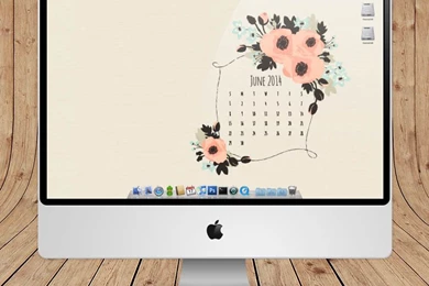 Category:   Eine Kleine Design Studio