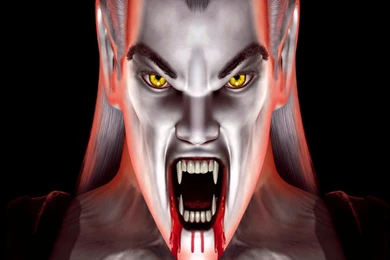 Zombie, Horror, Dangerous, Hd, Wallpapers