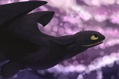 Toothless The Dragon Wallpapers   Wallpapers Cave