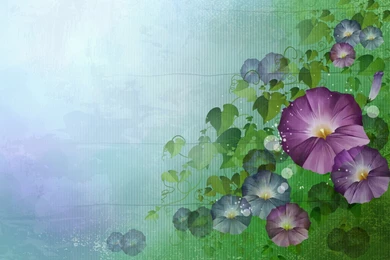 Flowers Wallpapers   556632