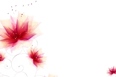 Top Pink Petal Ocean Flowers Wallpapers
