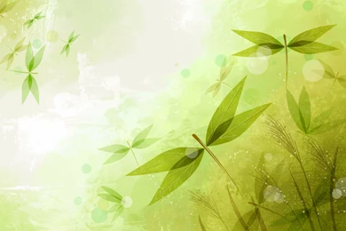 Vector Art Flower Leaf HD Wallpapers