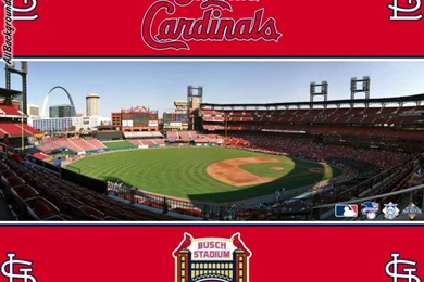 St Louis Cardinals Backgrounds   Twitter & Myspace Backgrounds