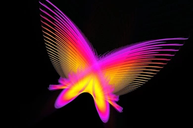 Colorful Butterfly Backgrounds 17 High Resolution Wallpapers ...