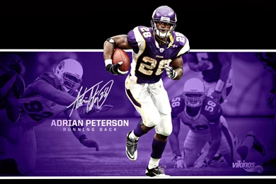 Minnesota Vikings Wallpapers 5058 1280x1024 Px ~ WallpaperFort.com