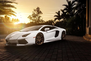 Lamborghini, White Sports Car, Car Pictures, Ultra HD Wallpapers ...